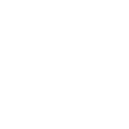 Kiikkula
